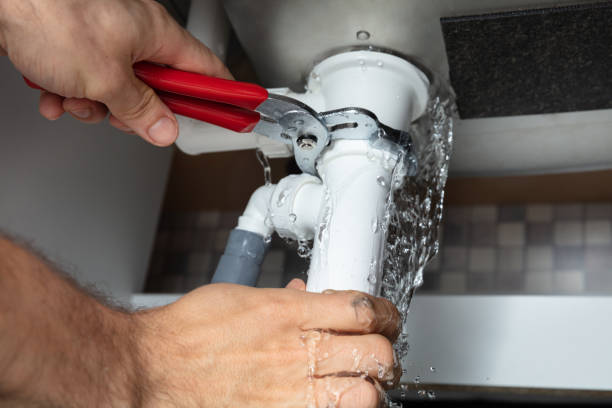Best Residential water damage restoration  in Dane, WI