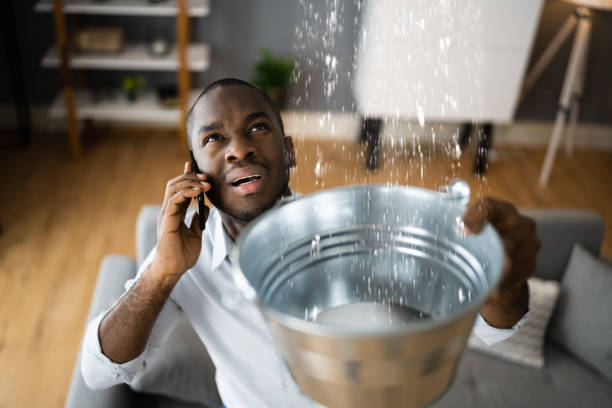 Best Mold removal after water damage  in Dane, WI