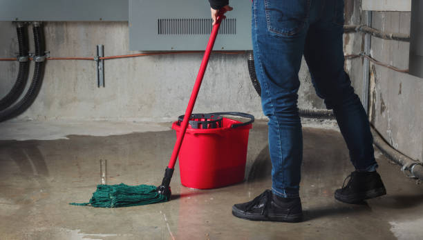 Best Professional water damage repair  in Dane, WI